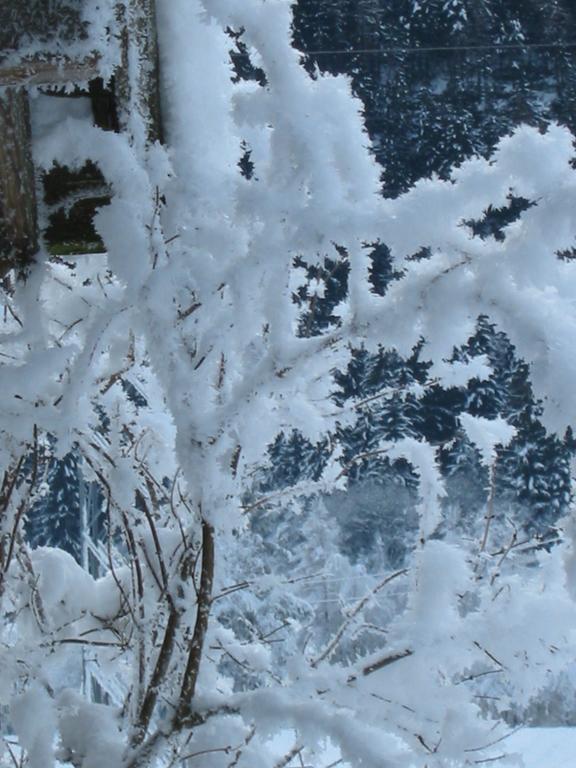 Berghaus Drei Tannen Hotel Oetz Zewnętrze zdjęcie